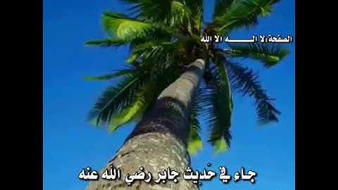 حافظ على الأذكار