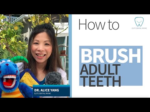 Dr. Yang's Teeth Talk - 怎麼刷成人牙齒？(Chinese Version) HOW TO BRUSH ADULT TEETH?