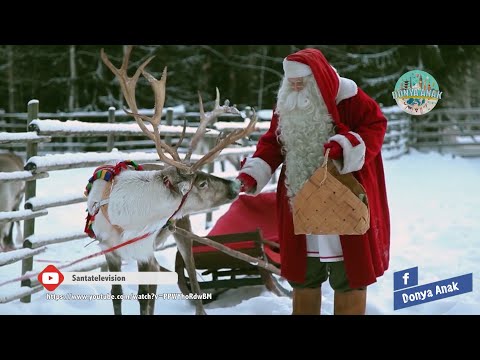 Video: Reindeer 101: Fakta Mengenai Rusa Dan Bagaimana Santa Menjaga Mereka