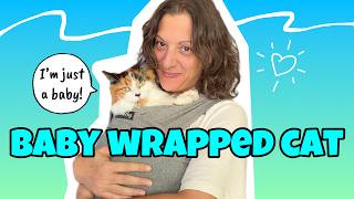 How To Use A Baby Wrap With Your Cat 🐈