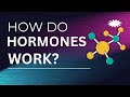 HOW DO HORMONES WORK?