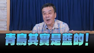 '24.05.30【小董真心話】青鳥其實是藍的