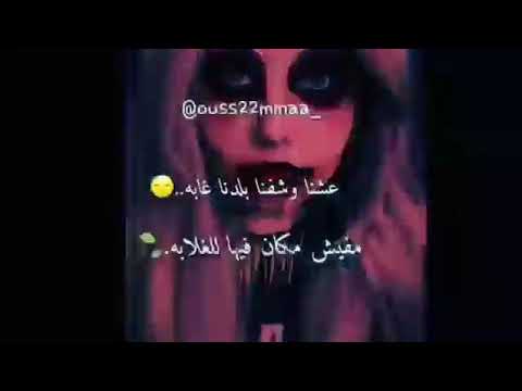 عشنا وشوفنا بلدنا غابه محمود العمدة