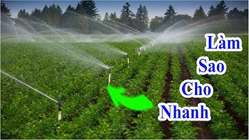 cách làm hệ thống tưới rau sạch nhanh và phun nước cực đều, làm hệ thống phun nước tưới rau tự động