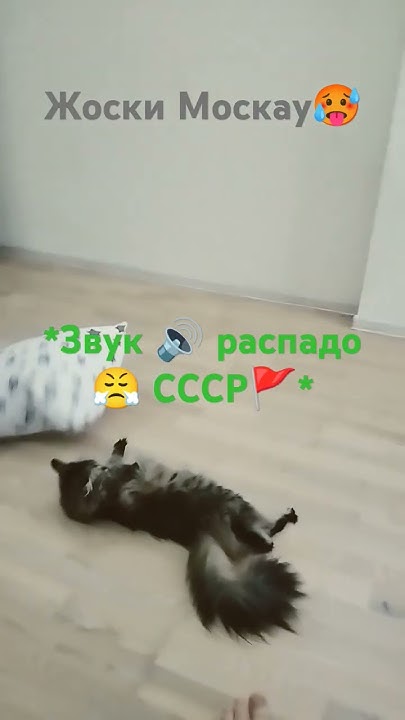 #кринж #мем #юмор #хочуврек #треш #прикол #выкотики #рофл #фиксай # ...