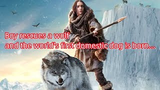 Boy rescues a wolf and the world's first domestic dog is born...