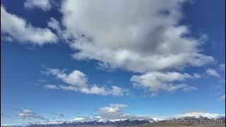 思维漫游411（万物都有意识，只是意识层次不同而已：泛灵论）