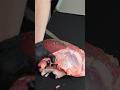 家で肉を切る時は気をつけてください。 #asmr #nikuhack #肉磨き #肉屋