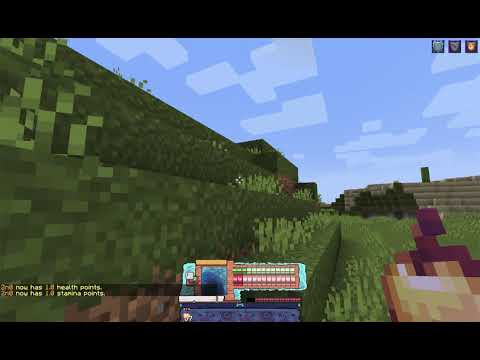 Custom HUDs Minecraft 1.13+ (No Mods)