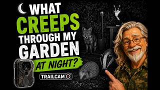 🌙 What Creeps Through My Garden at Night?