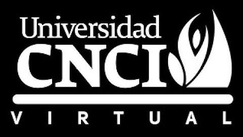 PROYECTO INTEGRADOR TECNOLOGIAS Y METODOLOGIAS DEL DESARROLLO DE SOFTWARE CNCI 2024