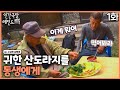 인간극장 레전드 309 1 귀한 산도라지 수상한 삼형제 1 2 KBS 110613 110617 방송 인간극장 레전드 309 1 귀한 산도라지 수상한 삼형제 1 2 KBS 110613 110617 방송