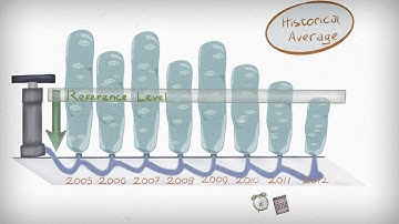 An Explainer Animation: What is a Forest Reference Level? (FREL/FRL)