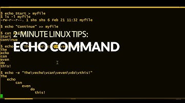 How to use the echo command