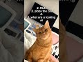 Top 5 funny orange cat videos #funny #cat #orangecat #hilarious #shorts #viral