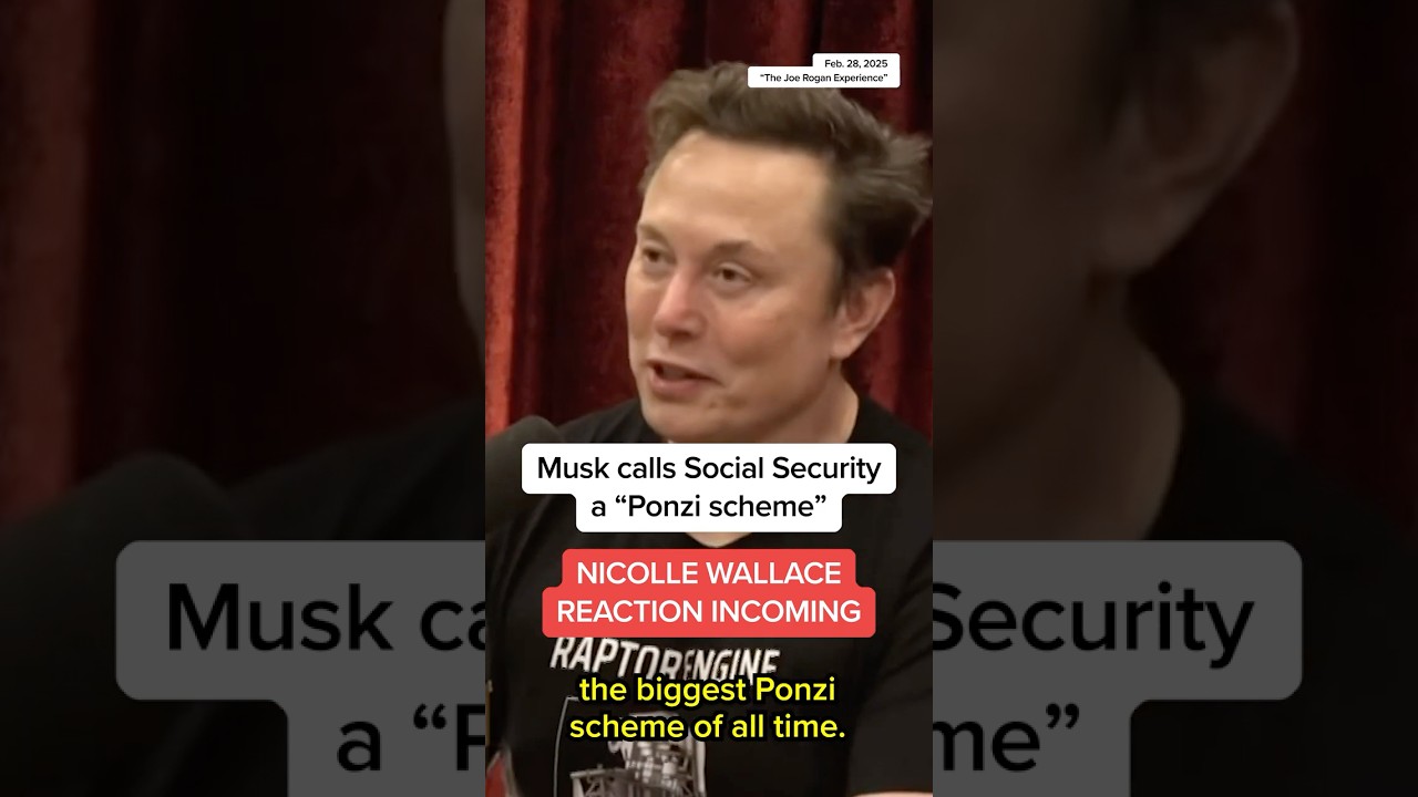 Musk calls Social Security a 'Ponzi scheme'