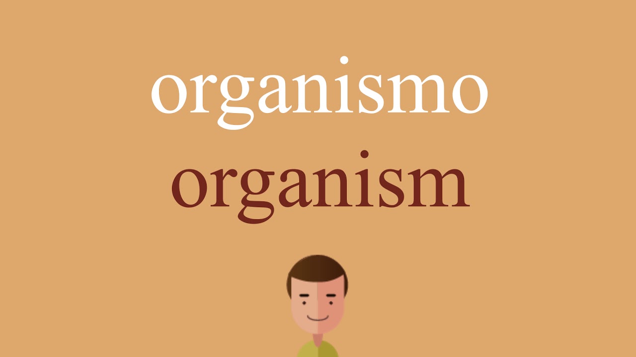 Cómo se dice organismo en inglés idioma de colombia