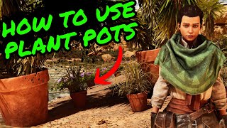 How To Use PLANT POTS in Ark Survival Ascended!!! screenshot 3
