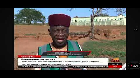 FG to Rehabilitate Wawa-Zange Grazing Reserve - Minister