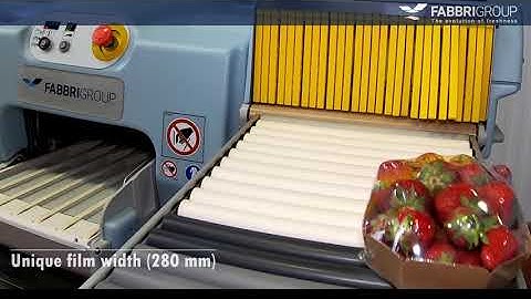 Meat, Fruit & Veg - Stretch - Elixa 21 integrated with automatic weight, price and label system