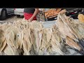 Feira dos peixes salgados e fresco quarta e sábado em palmeira dos índios.  Alagoas.  02.05.2026 