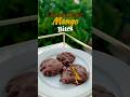 3 ingredient Chocolate Bites | No Cook, No Sugar, Just Pure Mango Magic! 🍫🥭