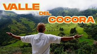 🌴 The Cocora Valley left us speechless 😱 | The most magical place in the Coffee Region - Colombia