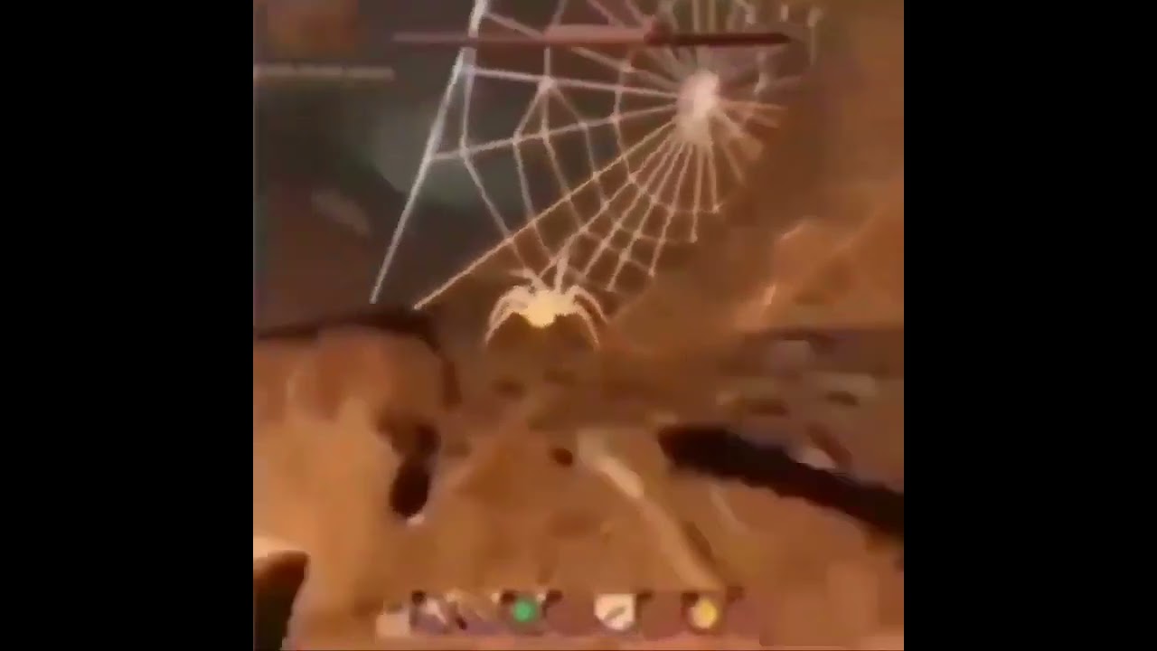 SPIDER JUMPSCARE YouTube