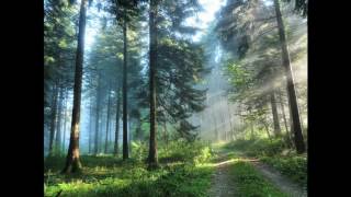 Tash Sultana - Finding Places - (Poem Remix)