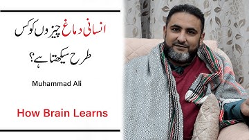 How Brain learns in Four ways? l Muhammad Ali l Mind Engineer l NLP Mantra