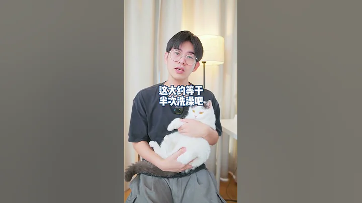 怎樣給貓咪洗澡不會抗拒 - 天天要聞