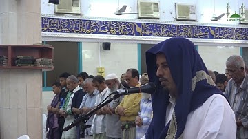 صلاة التراويح للقارئ | علاء شيخ | 11 رمضان 1446هـ