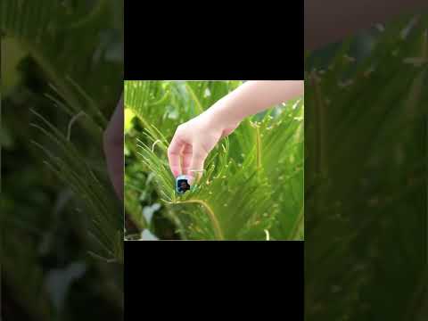 كاميرا المراقبة الصغيرة العالية الجودة المزودة بتقنية رصد الحركة 11