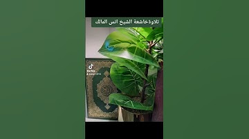 ٢١ نوفمبر ٢٠٢٢تلاوة خاشعة الشيخ انس المالك