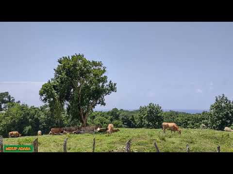 WlCK D BW0Y WHY YOU LOOKlNG SOME0NE TO BL M REALLY