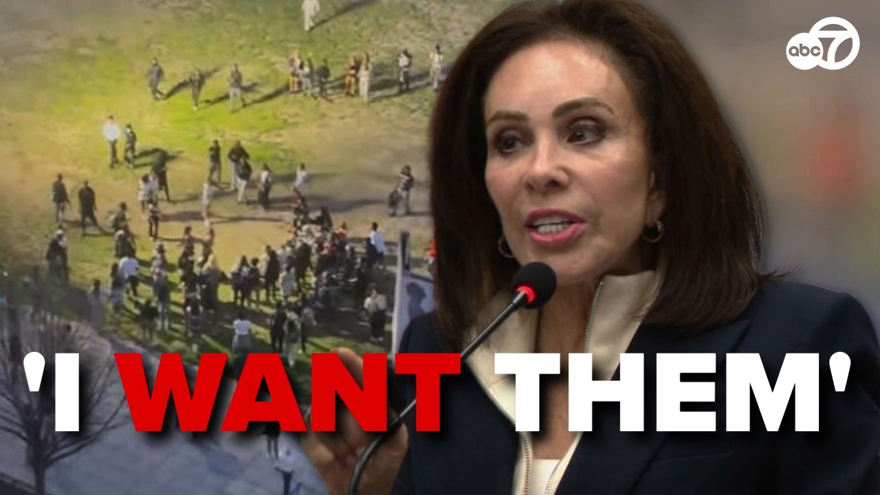 Jeanine Pirro pushes to prosecute 'young punks' in DC takeovers - YouTube