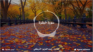 عشائية رائعة من سورة البقرة | القارئ : عبدالعزيز التركي