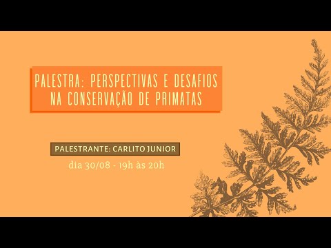 Vídeo: Candeeiro de pé com prateleira: diversidade de espécies, comentários e modelos populares