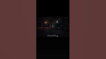سبحان الله العظيم#القرآن_الكريم #تلاوة_هادئة #المصحف #اكسبلور #لايك