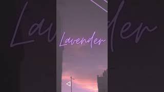 Lavender - Lofi