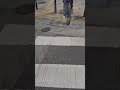 Bike Shadow Across the Crosswalk