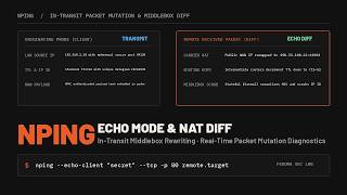 Nping Explained: Custom Packet Generation, TCP/UDP Probing & Echo Mode