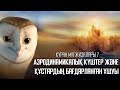 Құран мұғжизалары 7: Аэродинамикалық күштер және құстардың бағдарланған ұшуы ᴴᴰ