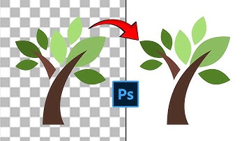 How to Remove Fake PNG Background  from a Photo in Photoshop | Tutorial For Beginner