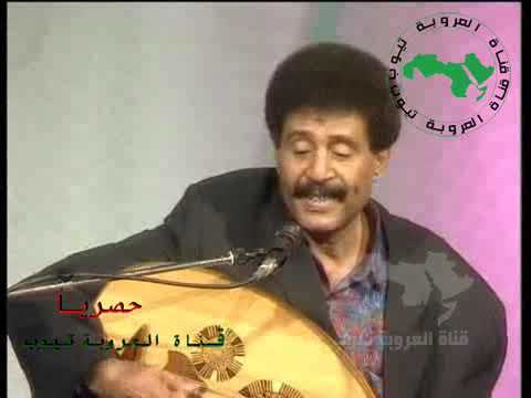فيصل علوي الحب الكبير
