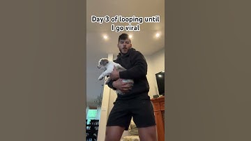 #funny #loop #satisfyingloop #endlessloop #perfectloop #dog