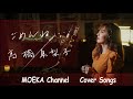 ごめんね・・・/ 髙橋真梨子 Unplugged Cover by MOEKA