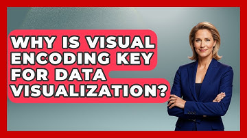 Why Is Visual Encoding Key For Data Visualization? - Demographic Data Answers