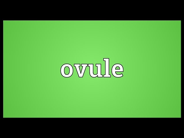 Ovule Meaning class=