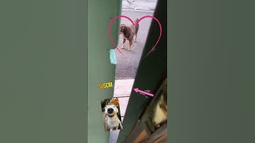 Thumbnail of HE WAS WATCHING ME, I BEHIND THE DOOR AND -COBOY WATCHING ME